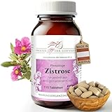 Phoenix der Lebenskraft