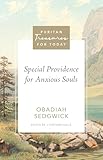 Special Providence for Anxious Souls (Puritan Treasures for Today)