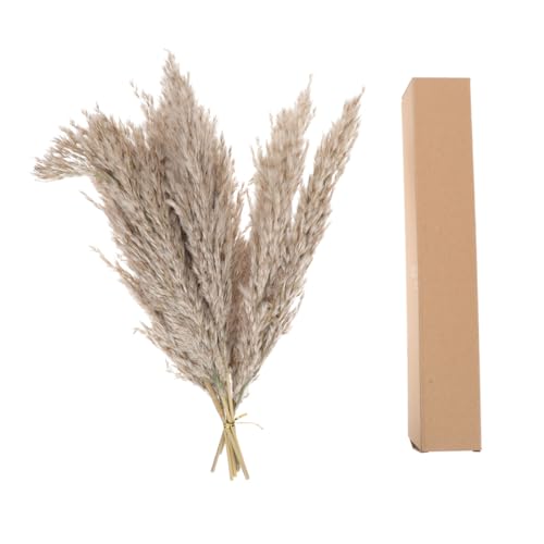 Ramo de flores secas Natural Reed 15 piezas con caja de papel miniatura 1
