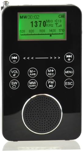 Degen DE1131 4-in-1 Touch Screen Controlled Portable AM/FM/SW Digital Radio, MP3 Player with Built-in 4GB Flash Memory and Micro-SD Card Reader, Voice Recorder & E-Book Reader