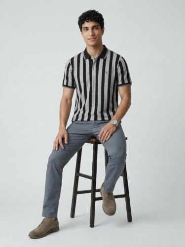 Image of Raymond Men Modern Fit Stripe Pattern Pure Cotton Polo Neck Half Sleeve Casual T-Shirt