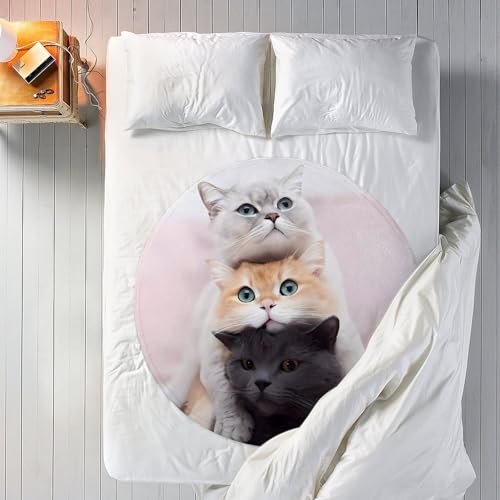 Couverture chat flanelle ronde, plaid canapé pliable multifonction