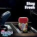Mentos Sugar-Free Chewing Gum, Red Fruit Lime, Non Melting, 50 Piece Bottle