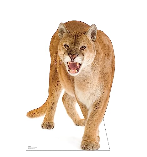 Image of Cardboard People Cougar Life Size Cardboard Cutout Standup - Made in USA