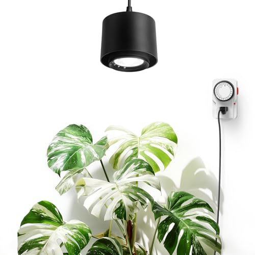 Barrina TR40 Hanging Grow Lights for Indoor Plants 40W 5000K Full Spectrum Adjustable Beam Angle (15-60) High PPFD Spotlight Grow Light with Timer for Indoor Growing Large Tall Plant Flowers