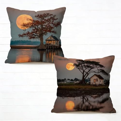 �N�b�V�����J�o�[ 65x65 cm 2���Z�b�g �� ���z�c�J�o�[ 65 x 65 �\�t�@�[ �N�b�V���� ���� �l�C ���O �N�b�V���� �� �������J�o�[ �l�p HD���ʈ�� ���_�� �B���t�@�X�i�[�t���C�t�ăR���N�V���� �K�p�Ώ� �ƒ� �I�t�B�X �֎q �ԓ� 