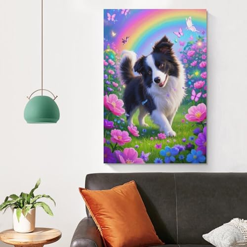 Cuadro en lienzo de Border Collie 50x75cm para decoracion de salon 4