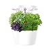 Hydroponics Growing System - Indoor Herb Garden Growing Kit - Hydroponics Growing Nutrient Pot Kit,Seeds Not Included - 4 Pots