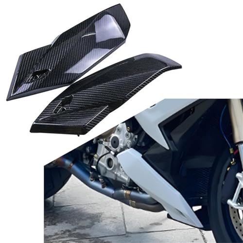 Carénage carbone BMW M1000R pour sorties piste et route