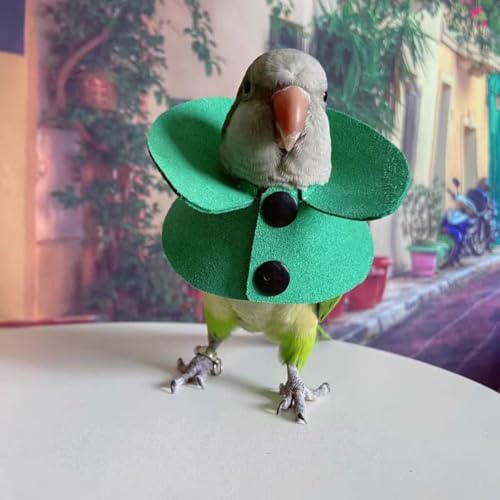 Image of Pet Parrot Anti-bite Elizabethan Collars, Anti-Grab Feather Plucking Wound Healing Safety Recovery Collar Cones for Budgerigar Lovebird Conure Cockatiel Cockatoo Random Color (M)