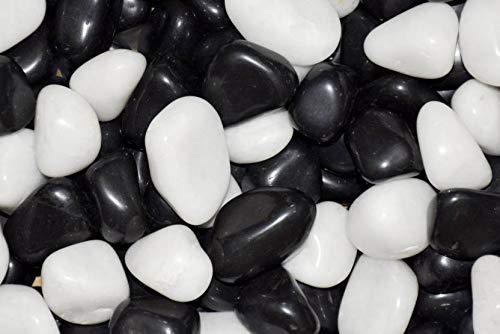 CAPPL Big Polished Black-White Pebbles (1 Kg) (B07NRMV7ZG) Amazon Price History, Amazon Price Tracker