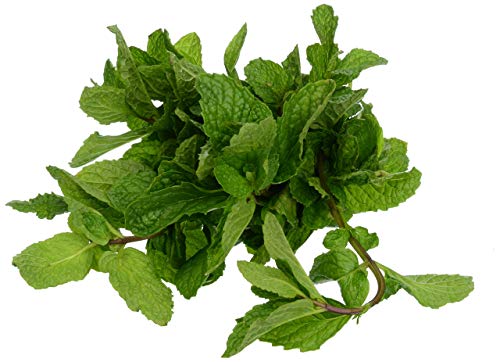 ROCK GARDEN Organic Mint, 1 OZ