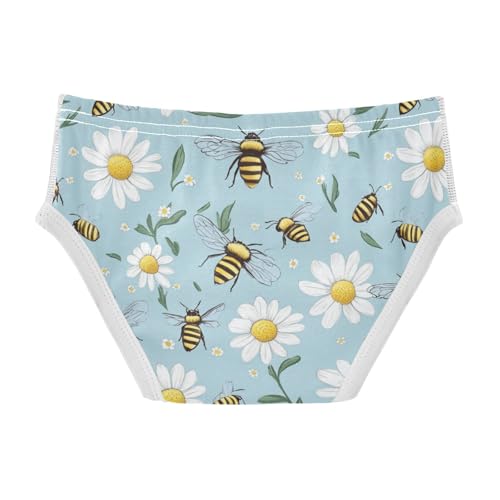 Wusikd Bees Daisies Boys' Underwear Cotton Blue Boys Briefs Soft Toddler Underwear 2T2