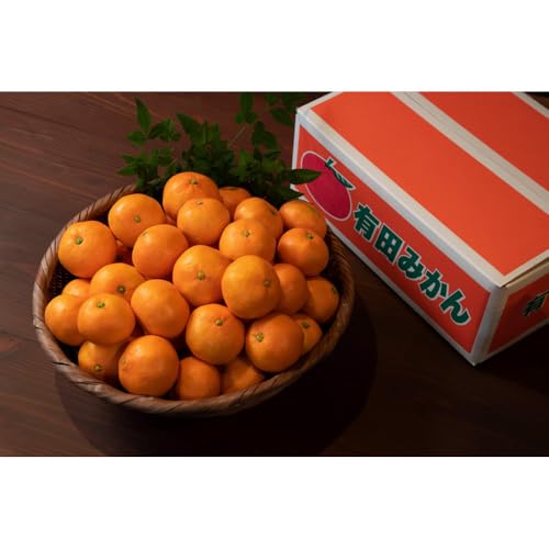 有田みかん 5kg M・Lサイズ 甘い手摘み