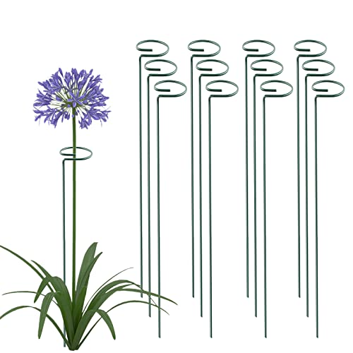 Thealyn 36 Inch 20 Packs Plant Support Stake Garden Single stemmed Plant Support Hoops Plant Prop for Flowers Orchid Tomatoes Peony Lily Rose Gladiolus (36 inch)