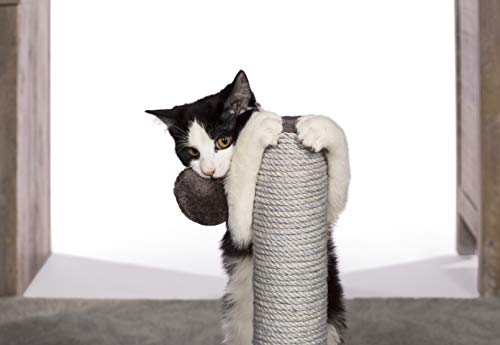 Prevue Pet Products Kitty Power Paws Play & Scratch gris miniatura 2