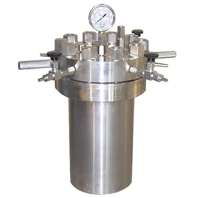 Stainless Steel High Pressure Reactor, Hydrogenation Kettle Laboratory Vacuum High Temperature Hydrogenation Tank (1000ml)