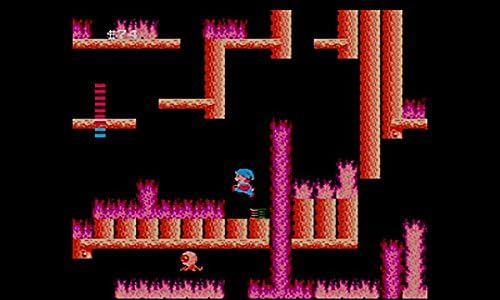 Amazon 迷宮組曲 ゲーム