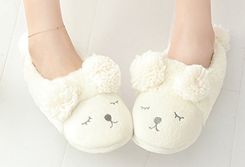 Winter Warm Hausschuhe Damen Warm Plüsch Super Weich Samt Sohle Innen Rutschfest Kapuzenanorak mit Baumwollfutter Low Top Slipper waschbar, weiß, 4.5-5UK/23-23.5CM/EU(36-37) Cover