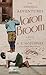 The Amazing Adventures of Aaron Broom: A Novel
