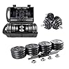 Adjustable Dumbbells 44 lbs Home Weight Lifting Professional Dumbbells for Body Workout Home Gym Fitness with Carry Case (Grey, 44LB/20KG)