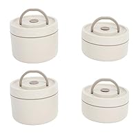 Thermische Geïsoleerde Lunchbox met Roestvrijstalen Voedselopslag - Draagbaar en