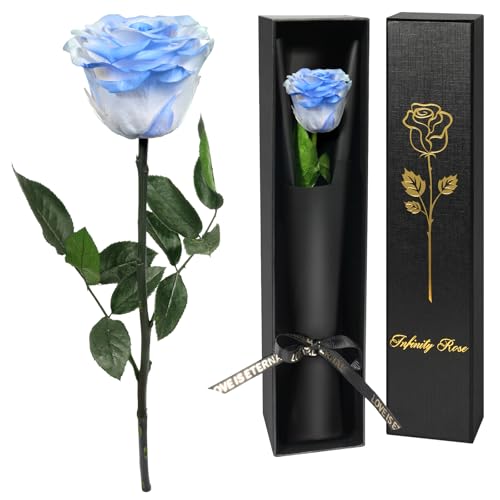Yamonic Preserved Flowers Rose Gifts for Women, Forever Real Flower Birthday Gift for Her, Mothers Day Flower Rose Gifts for Mom, Christmas Valentine's Day Gifts for Girlfriend, Wife