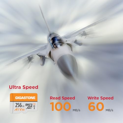 Image of GIGASTONE 256GB Micro SD Card, A1 V30 4K Video Recording, MicroSDXC Memory Card for Nintendo-Switch, Wyze, Dash Cam, Security Camera,UHS-I U3 C10, up to 100MB /s, with Adapter