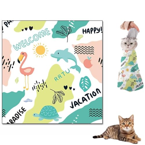 Lifetips o[~[Y Burmese LpO[~Obv ے ܐ؂ Œ ݂΍ E\h ^I EȒP \lR T|[g |   @\ybgPAobO Lے LpŒ Lp^I PA