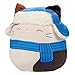 Squishmallows Original 10-Inch Cam The Christmas Cat - Official Jazwares Holiday Plush - Collectible Soft & Squishy Kitty Stuffed Animal Toy - 2025 Limited Edition - Gift for Kids, Girls & Boys