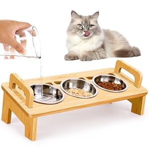 Elevated Cat Food Bowl, 3 Stainless Steel Raised Cat Bowls with Stand, 15°Tilted Cat Bowl for Indoor Cats, Cat Food and Water Bowl Set, Anti Vomitting, Whisker Fatigue and Dishwasher Safe – Natural