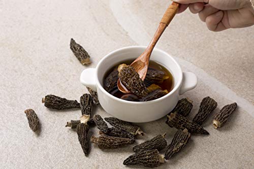Vigorous Mountains Wild Dried Morel Mushrooms 1 Ounce Morchella Conica 2-4cm Size 1 Oz Sealed Jar Premium Grade AAA