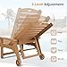 LUE BONA Outdoor Chaise Lounge Chairs Set of 2, HDPS Chaise Lounger, 5 Positions Adjustable Lounge Chairs, Pool Lounge Chair with Wheels for Poolside, Patio, Restaurant, 3 Year Warranty, Teak Color