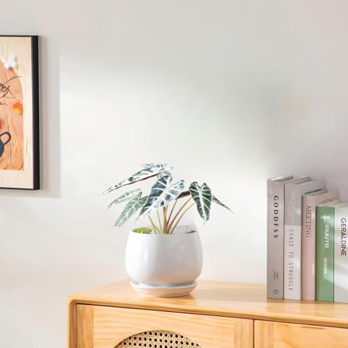 vancasso SELENE Porcelain Tea Mug with Infuser and Lid Steeps