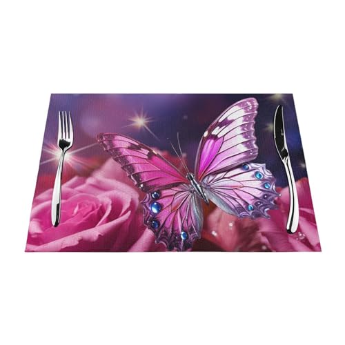 Sets de table lavables en PVC pour éliminer les taches sur la table à manger
