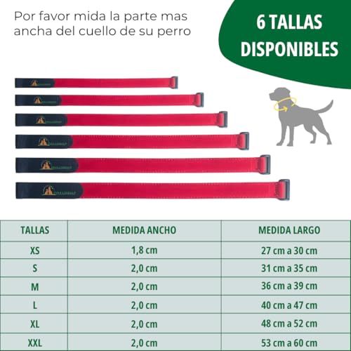 Anti-Parasitenabdeckung für Hundehalsband, Flohschutz für kleine und große Rassen, geeignet für alle Größen (Rosa, M: 36-39 cm)