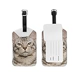 My Daily Snow Bengal Chat Étiquette de bagage en cuir PU Sac de voyage valise bagage étiquette 1 pièce