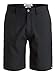 Quiksilver Men's Regenerator Walk Short