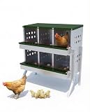 Garvee Boîte de ponte 6 compartiments pour poules – Métal galvanisé, étanche et antirouille, perchoir, ventilation, plateau de collecte, montage murale ou sur pieds – Pour poulaillers professionnels –