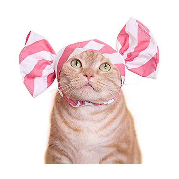 Kitan club cat cap - pet hat blind box includes 1 of 6 cute styles - soft, comfortable - authentic japanese kawaii design - animal-safe materials, premium quality (candy) - image 3