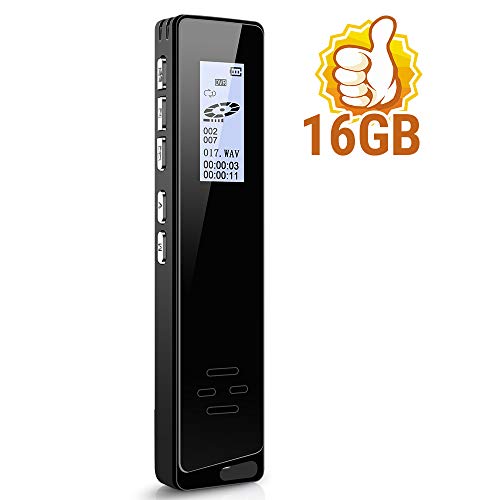 Digital Voice Activated Recorder for Lectures and Meetings with Double Noise Reduction Audio