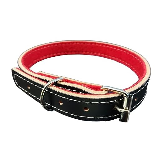 Coleira Couro Preta Forrada Cão Cachorro Porte Médio