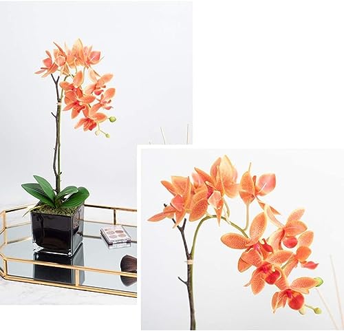 Ensemble de fleurs artificielles orchidée pour décorer buffet