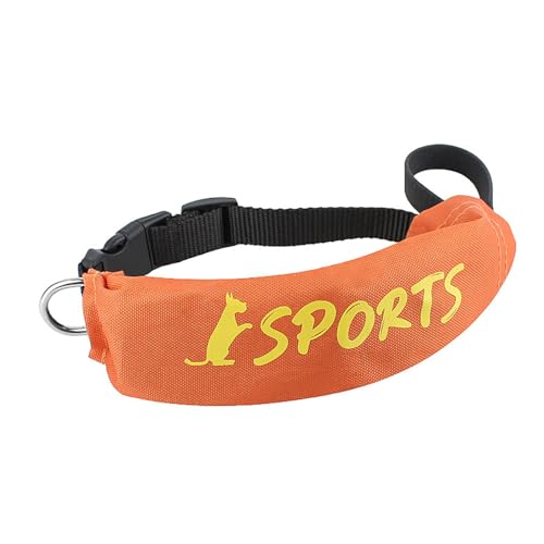 Correas Perros Grandes Retractil Marca XINYIN