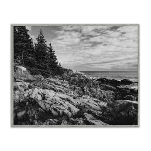 Rocky Ocean Coast Monochrome Nature, 24 x 30 Inch Framed Giclée Print