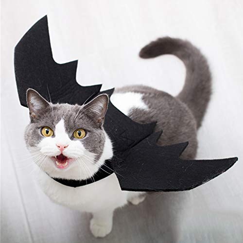 Brocarp Cat Bat Wings, Halloween Costumes Cat Clothes, Pet Apparel for Small Cats, Cute Kitten Costume Dress up Accessories for Festival Party Cosplay Decoration (Black)