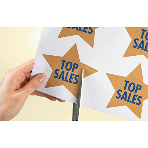 Avery White Removable Multipurpose Labels, 8.5 X 11 Inches, White, Pack Of 10 (06470) #TOP2