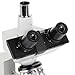 OMAX - 40X-2500X LED Digital Trinocular Lab Compound Microscope with USB Camera and Mechanical Stage - M83EZ-C03S