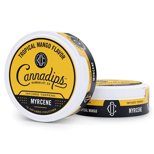 Top 10 Best Dip Alternatives in 2022 Reviews & Buying Guide