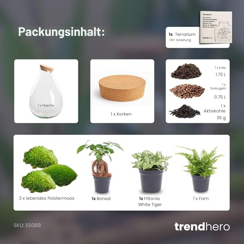 Foto von urbanjngl - Drop XL Terrarium Grün - DIY Kit für Pflanzen - Ø 24 cm, Höhe 37 cm - Inklusive Kork - Ideal für EIN nachhaltiges Ökosystem